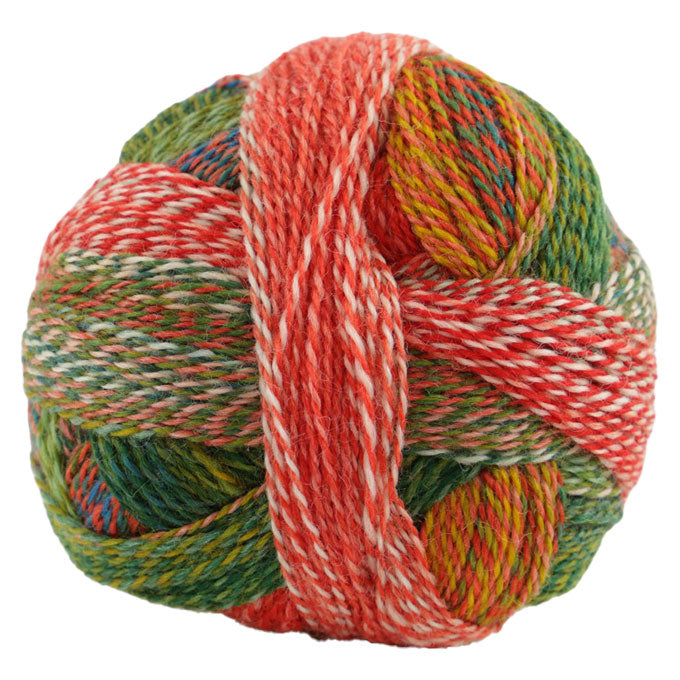 Schoppel Crazy Zauberball 4ply ONLY AVAILABLE ONLINE & LOWER HUTT SHOP
