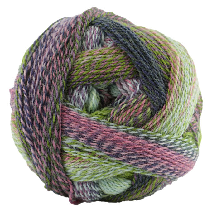 Schoppel Crazy Zauberball 4ply ONLY AVAILABLE ONLINE & LOWER HUTT SHOP