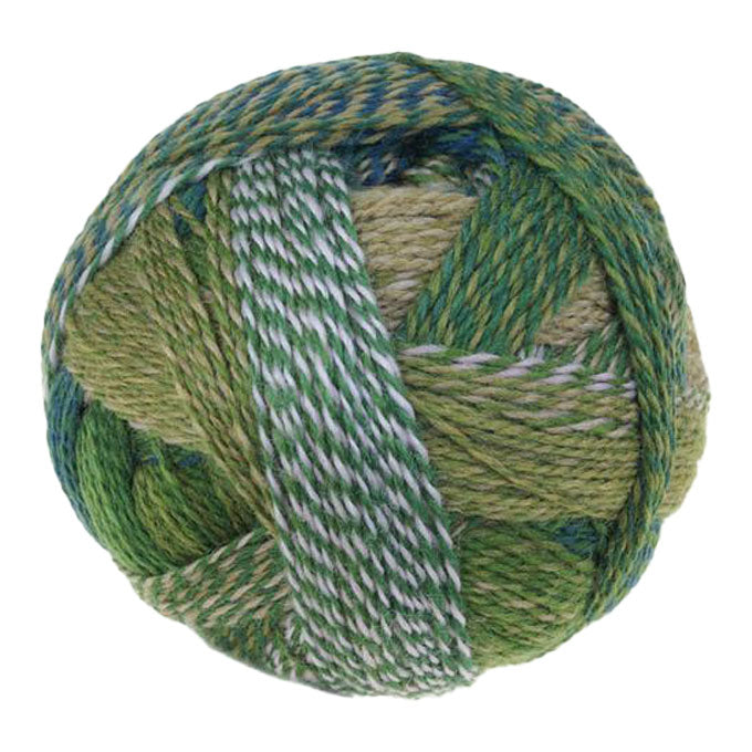 Schoppel Crazy Zauberball 4ply ONLY AVAILABLE ONLINE & LOWER HUTT SHOP