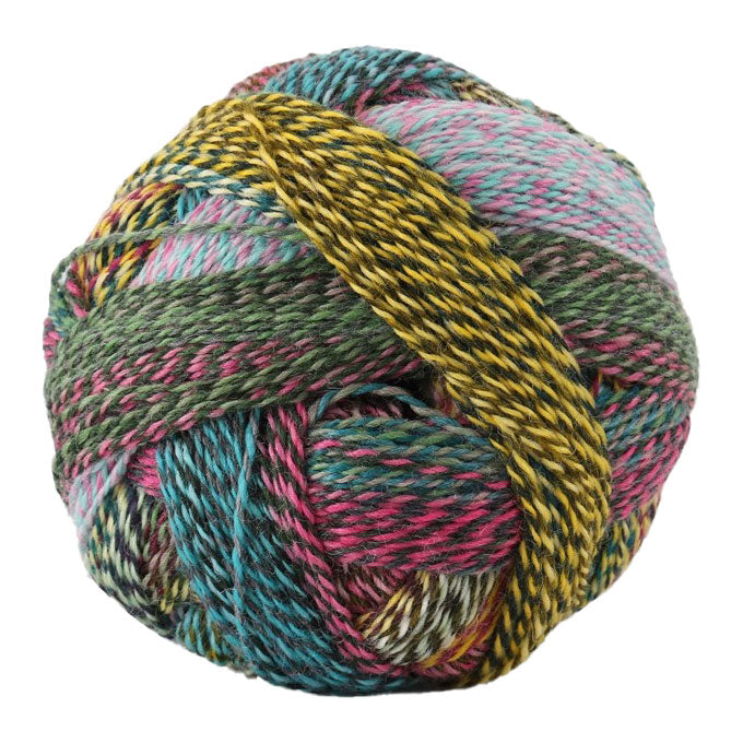 Schoppel Crazy Zauberball 4ply ONLY AVAILABLE ONLINE & LOWER HUTT SHOP
