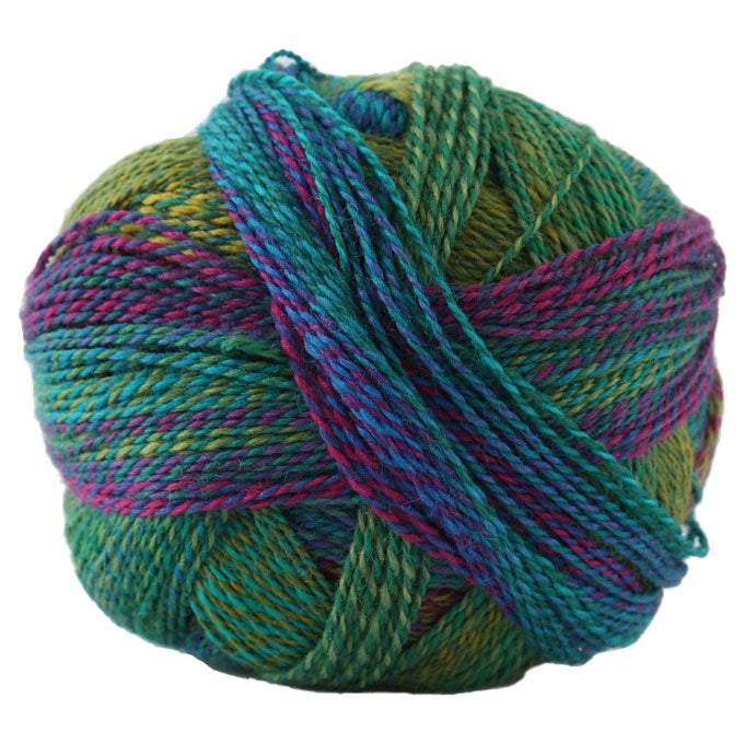 Schoppel Crazy Zauberball 4ply ONLY AVAILABLE ONLINE & LOWER HUTT SHOP