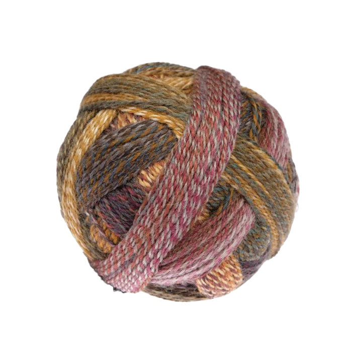 Schoppel Crazy Zauberball 4ply ONLY AVAILABLE ONLINE & LOWER HUTT SHOP