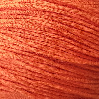Sesia Bio Sesia 5 4ply