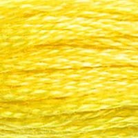 DMC Stranded Cotton 8M Skein