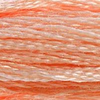 DMC Stranded Cotton 8M Skein