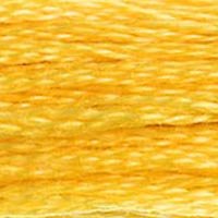 DMC Stranded Cotton 8M Skein