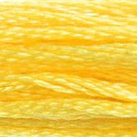 DMC Stranded Cotton 8M Skein