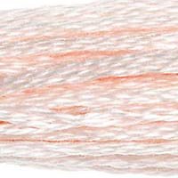 DMC Stranded Cotton 8M Skein