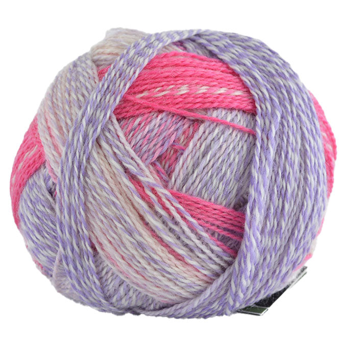 Schoppel Crazy Zauberball 4ply ONLY AVAILABLE ONLINE & LOWER HUTT SHOP