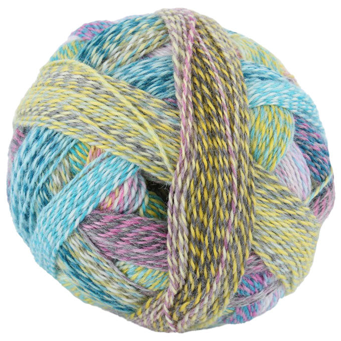 Schoppel Crazy Zauberball 4ply ONLY AVAILABLE ONLINE & LOWER HUTT SHOP