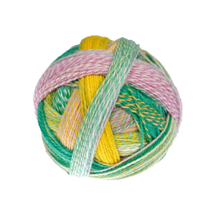 Schoppel Crazy Zauberball 4ply ONLY AVAILABLE ONLINE & LOWER HUTT SHOP