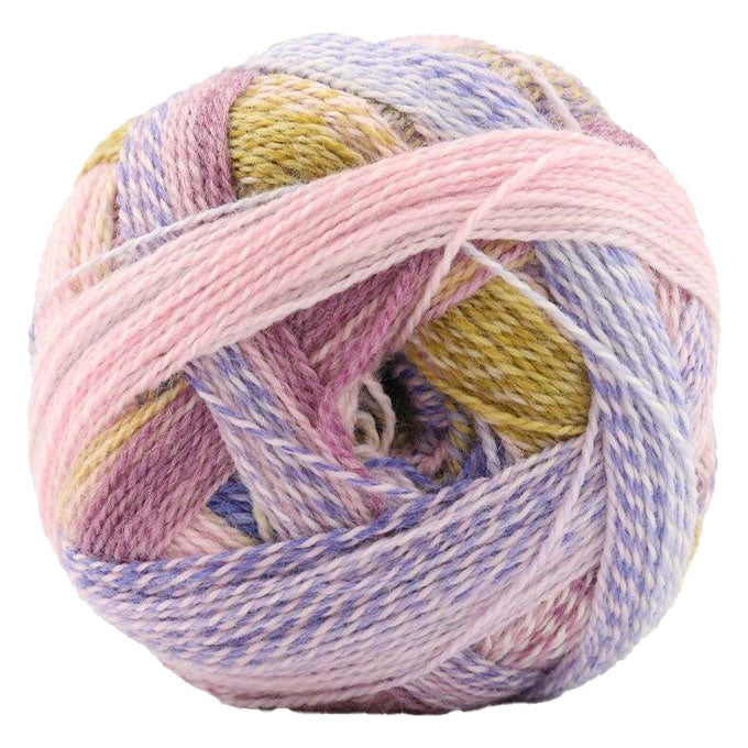 Schoppel Crazy Zauberball 4ply ONLY AVAILABLE ONLINE & LOWER HUTT SHOP