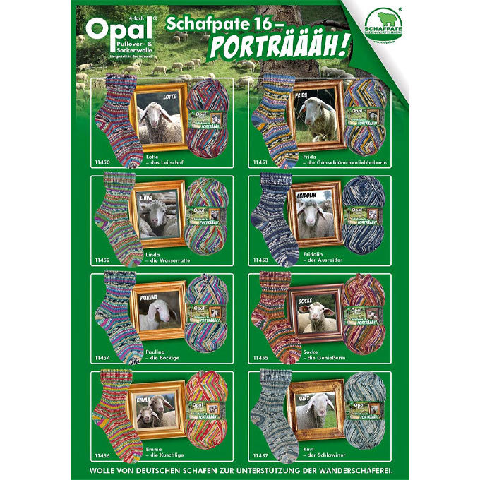 Opal Schafpate 16 4ply